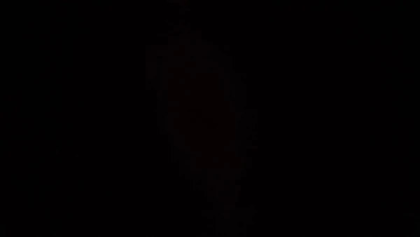 Bb